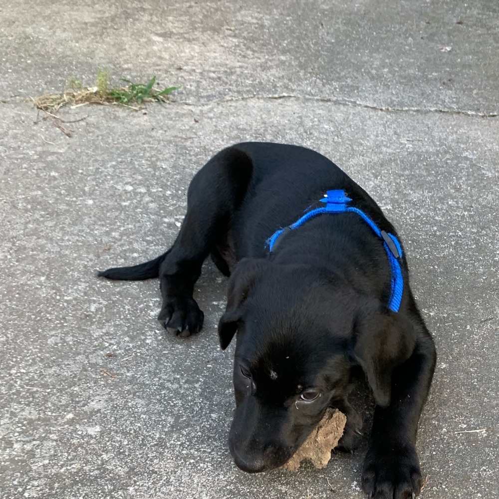 Meet your Posher, Sophia